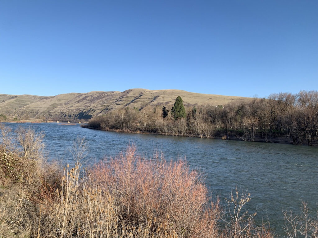 The Clearwater River and its tributaries lie within the traditional hunting, fishing and gathering areas of the Nez Perce Tribe. Salmon there are on the brink of extinction due to climate change and dams downstream. CREDIT: Kirk Siegler/NPR