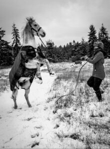 Christine Hemp and her horse, Buddy,