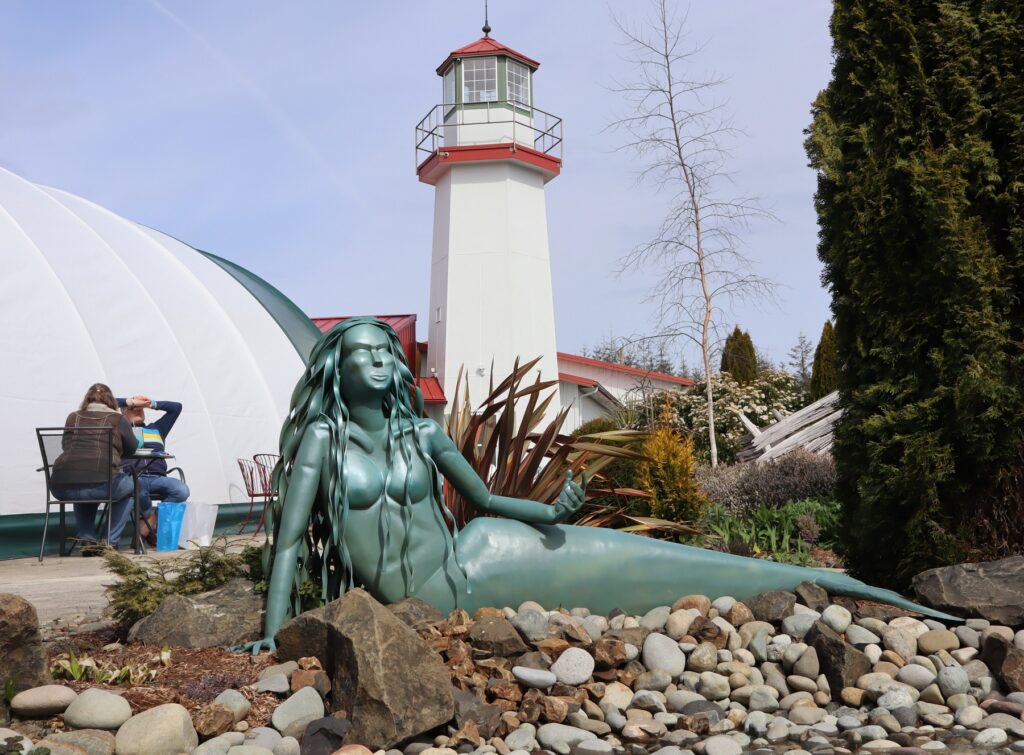 Mermaid sculptures adorn the grounds of the mermaid museum and adjacent Westport Winery. CREDIT: Tom Banse/N3