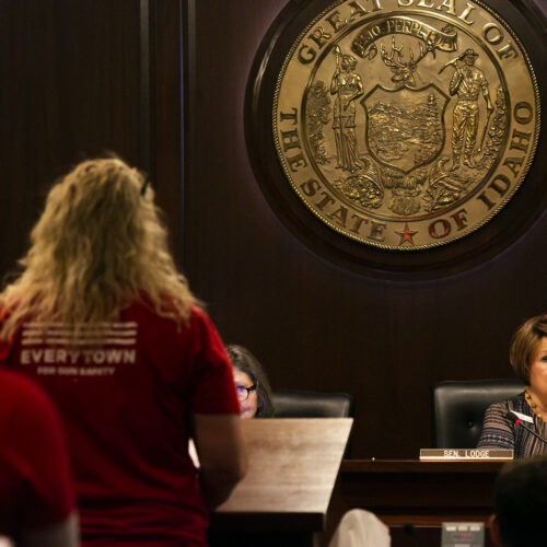 During a March 2020 hearing, Senate State Affairs Committee chairwoman Patti Anne Lodge eyes a line of activists against gun violence ready to testify against a guns-in-schools bill. CREDIT: Sami Edge/Idaho EdNews