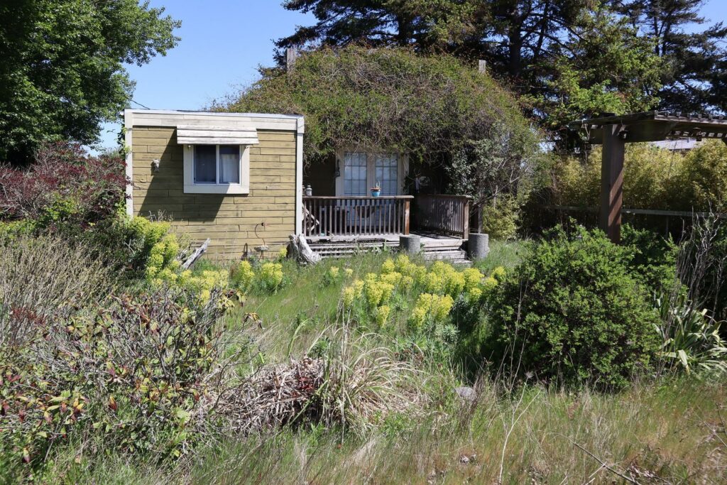 Second homes in Point Roberts owned by Canadians can be easily recognized by their overgrown yards. The extended border closure keeps the owners away.