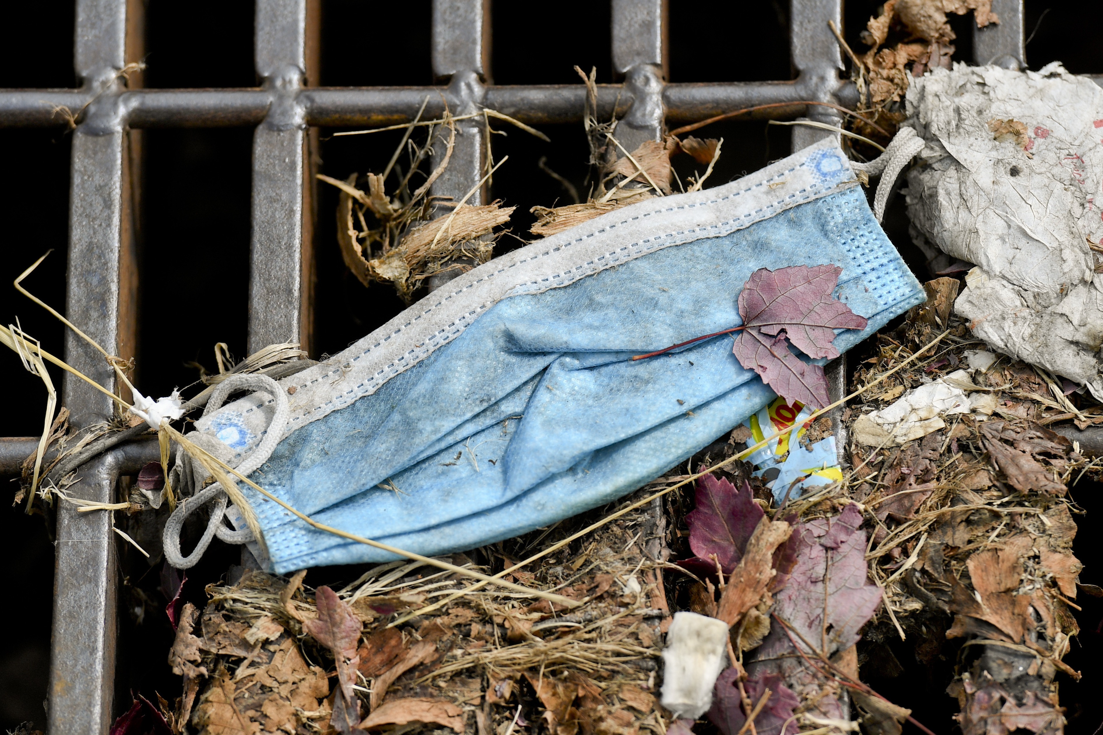 A discarded disposable face mask on a storm sewer grate along with other detritus on Penn Ave in West Reading September 14, 2020. (Photo by Ben Hasty/MediaNews Group/Reading Eagle via Getty Images)