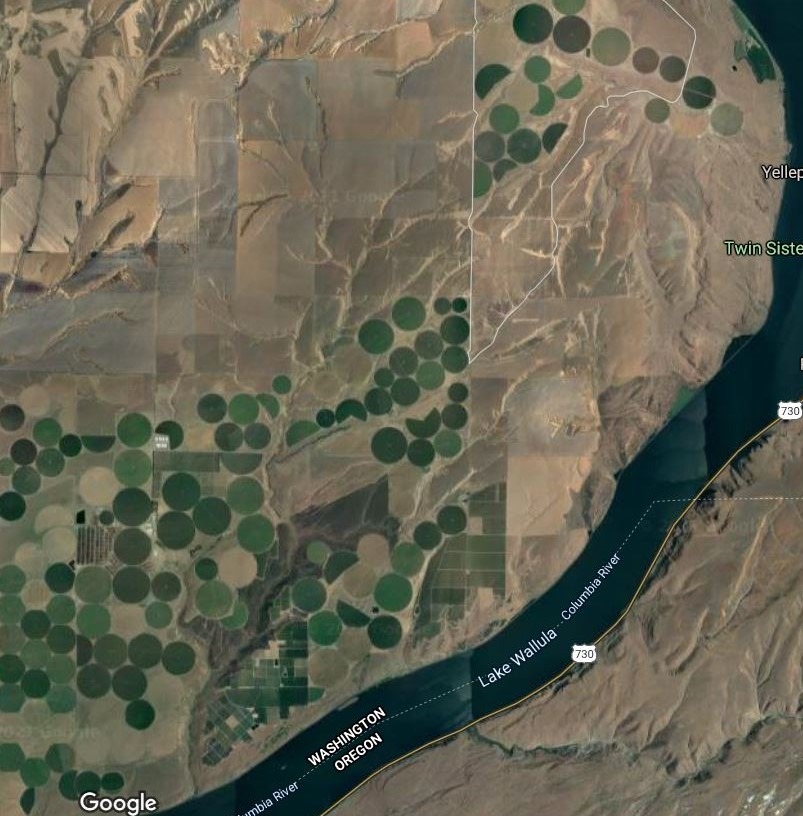 This image from Google Earth shows the span of the Easterday property in question on the Washington side of the Columbia River south of the Tri-Cities. It stretches across a bend in the river with large 100-acre irrigated pivot circles of crops. The land includes nearly 12,000 acres, a cattle feedlot, cherry orchards, vineyards, employee housing and a valuable complex of potato and onion storage sheds. CREDIT: TerraMetrics 2021 via Google Earth 