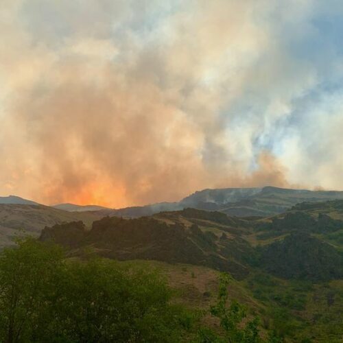 A view of the Joseph Canyon fire on June 5, 2021. CREDIT: National Wildfire Coordinating Group
