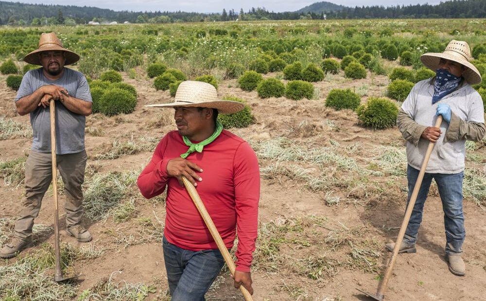 Pedro Lucas, center, nephew of farm worker Sebastian Francisco Perez who died last weekend while working in an extreme heat wave, talks about his uncle's death on near St. Paul, Ore., during a record-breaking heat wave. CREDIT: Nathan Howard