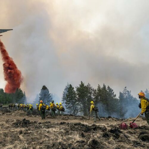 Firefighters watch and take video with their cellphones as a plane drops fire retardant on Harlow Ridge above the Lick Creek Fire, southwest of Asotin, Wash., on July 12, 2021. The fire, which started last Wednesday, has burned over 50,000 acres of land between Asotin County and Garfield County in southeast Washington. CREDIT: Pete Caster/Lewiston Tribune via AP