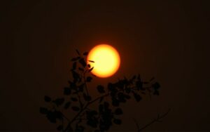 Smokey sun from the 2021 Chuweah Creed fire.
