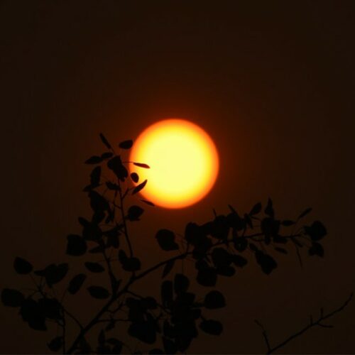 Smokey sun from the 2021 Chuweah Creed fire.