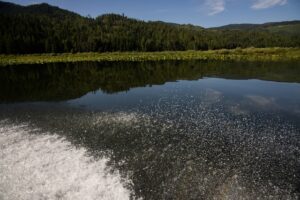 The Twin Lakes and Fish Creek -- along with Lake Pend Oreille and Lake Coeur d'Alene -- all empty their waters into the Spokane Valley -- Rathdrum Prairie Aquifer. That’s the aquifer that runs generally west and quenches the thirst of the cities of Spokane and Spokane Valley.