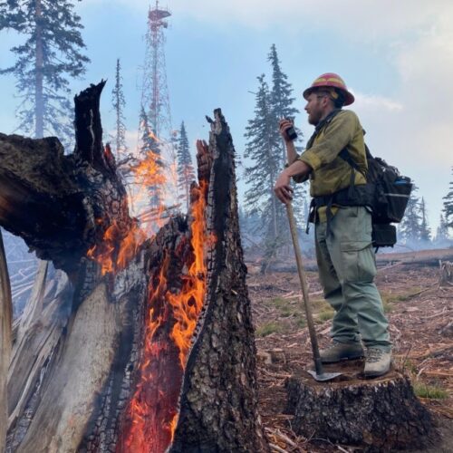 Fire crews on the Schneider Springs fire burned around the critical communication tower on Bethel Ridge to protect it from the main fire