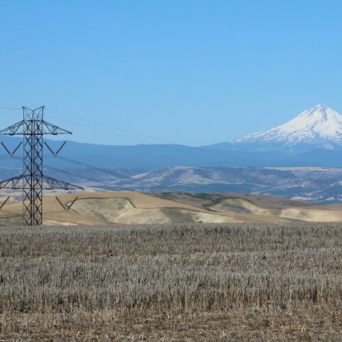A view of the Bonneville Power Administration's Big Eddy-Knight transmission line. More renewable energy development and less room for energy conservation are two of the biggest changes in the draft of the new regional power plan.
