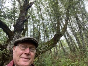 Scientist Wayne Carmichael of Elsie, Oregon, shows off his about-century-old alder and says beyond studying algae, people must decrease their pollutants so blooms don’t overrun water bodies.