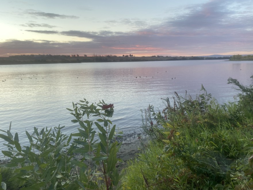 For the city of Richland, testing for toxic algae in Columbia River drinking water is costing up to $2,500 weekly. Results take more than a week. Officials plan tests until the toxins go away.