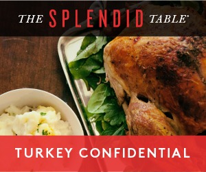 APM's Turkey Confidential banner