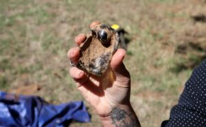 An old alcohol bottle unearthed at the historic Eagle Brewery site. 