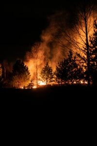 A silhouette of a forest fire