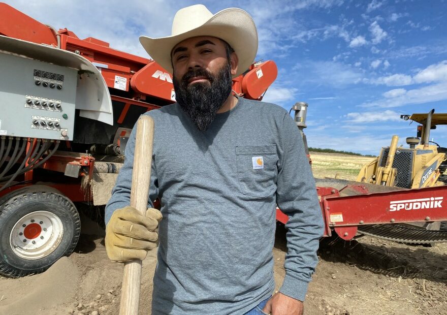 Ramon Quezada, 39, a supervisor at Alford Farms north of Pasco, loves to whistle while he works. But the potatoes this year are hard to sing about: the heat caused them to grow into weird shapes, at lower densities and lower internal quality will make them harder to store over the winter
