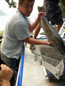 The Confederated Tribes of the Colville Reservation trucked salmon to Keller Park this August for a release ceremony.