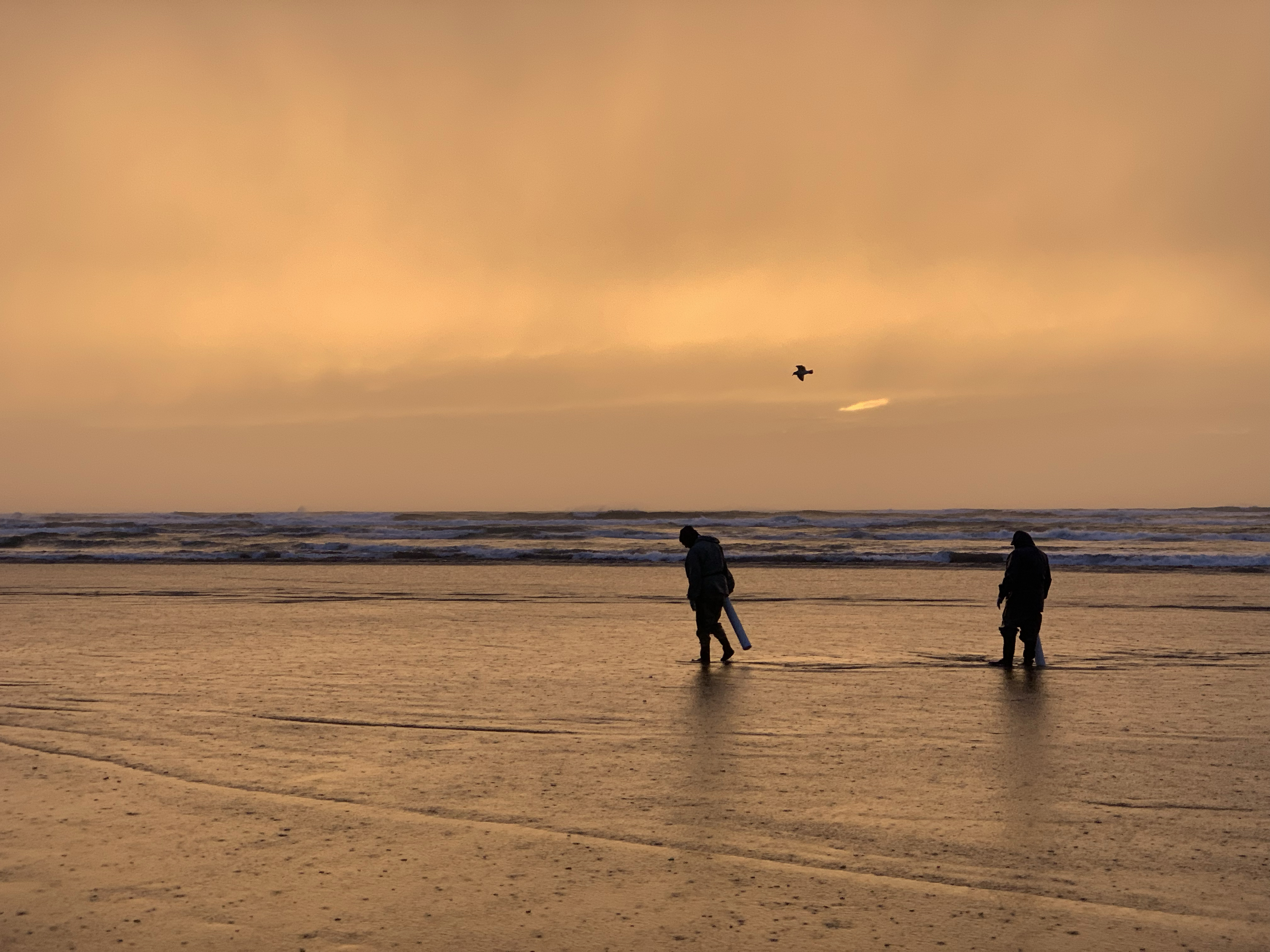 Beautiful shot of the Pacific Northwest