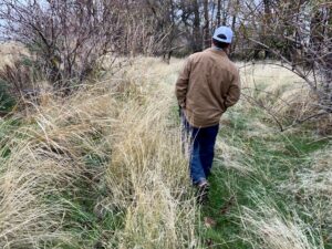 Grower Nathan Rea walks along a stream buffer near Russel Creek. The buffer protects the stream and fish from runoff.