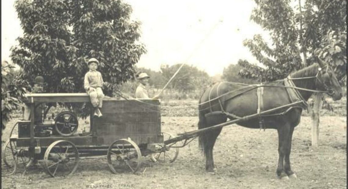 A Wenatchee sprayer made by A. D. Browning, Wenatchee. Two men, one with bamboo spray pole, and one small boy sitting on top of sprayer pulled by one horse in a fruit orchard in Wenatchee.