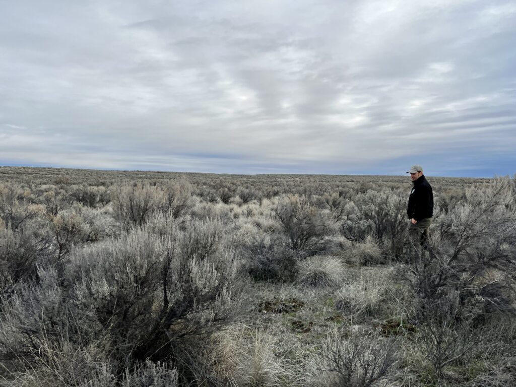 Investigador en Sagebrush Flat