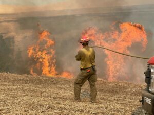 A firefighter stands with a hose before a raging fire on a charred field.