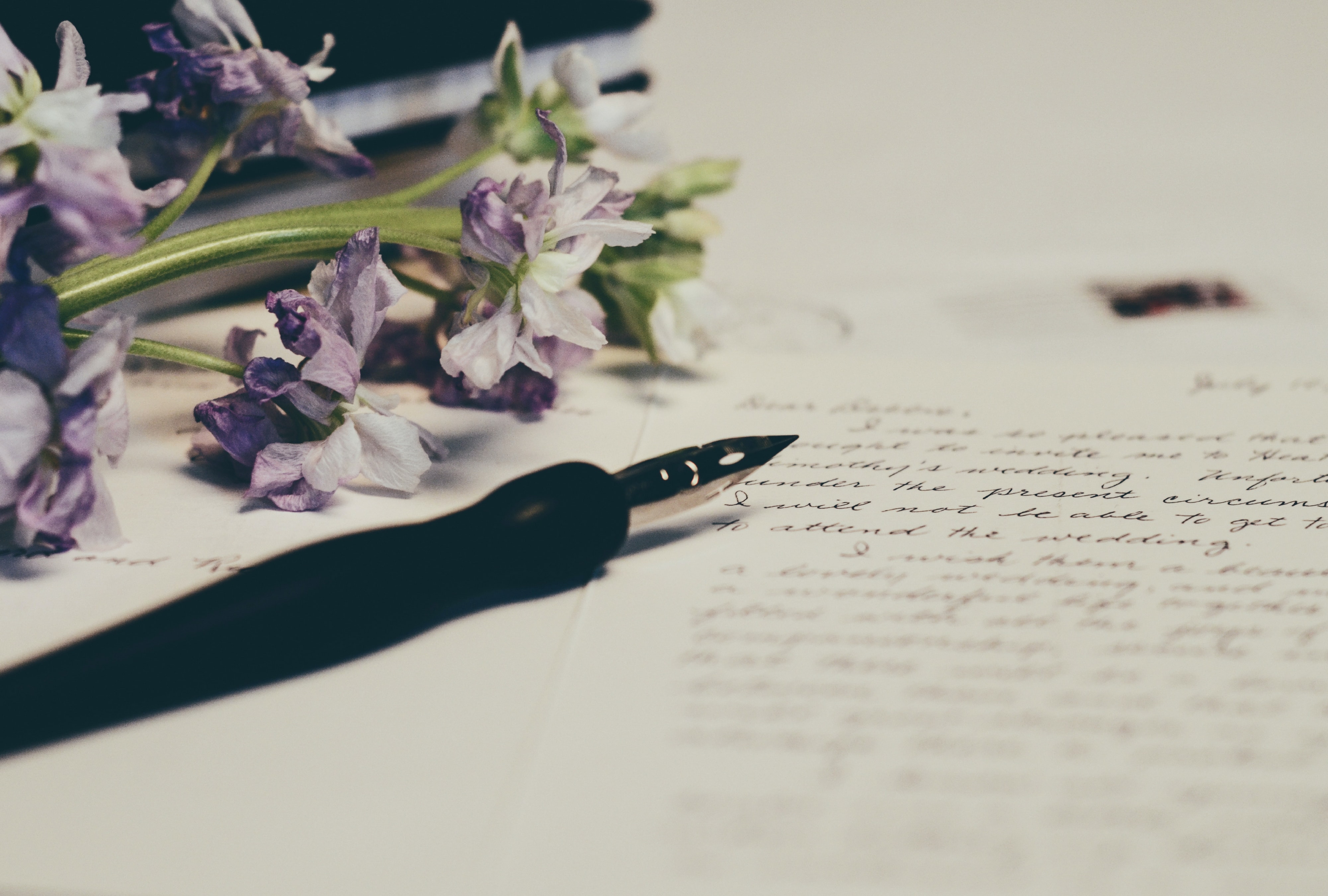 April is national poetry month. NWPB’s Lauren Gallup interviewed Tacoma’s poet laureate on the art form, and its lasting influence. Photo by Debby Hudson via Unsplash