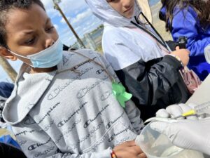 Jelani Fraiser Sims, 10, a fourth grade student at Cascade Elementary School in Kennewick, watches a scientist from Pacific Northwest National Laboratory inject a PIT tag into a young salmon.