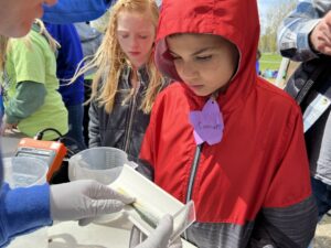 Conner Block, 10, watches scientists measure a salmon that just got inserted with a PIT tag.