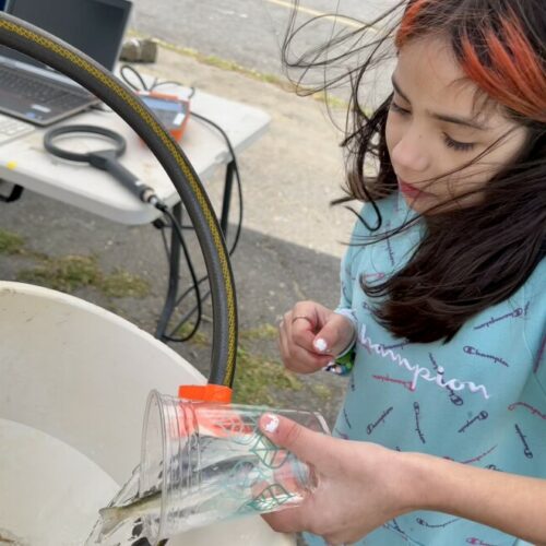 During the 2022 Salmon Summit, Jennasys Alaniz, 10, a fourth grade student at Cascade Elementary School in Kennewick, releases a newly tagged young salmon into the Columbia River.