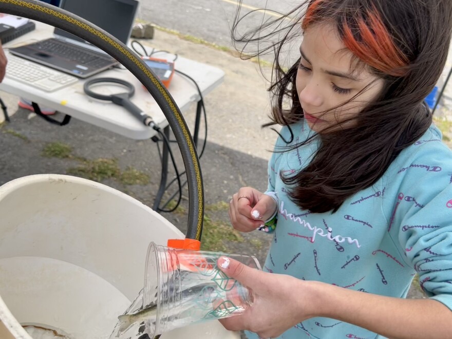 During the 2022 Salmon Summit, Jennasys Alaniz, 10, a fourth grade student at Cascade Elementary School in Kennewick, releases a newly tagged young salmon into the Columbia River.
