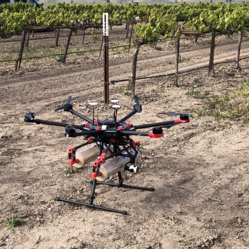A black, red and silver drone with two silver cannisters full of bugs prepares for takeoff near a green vineyard.