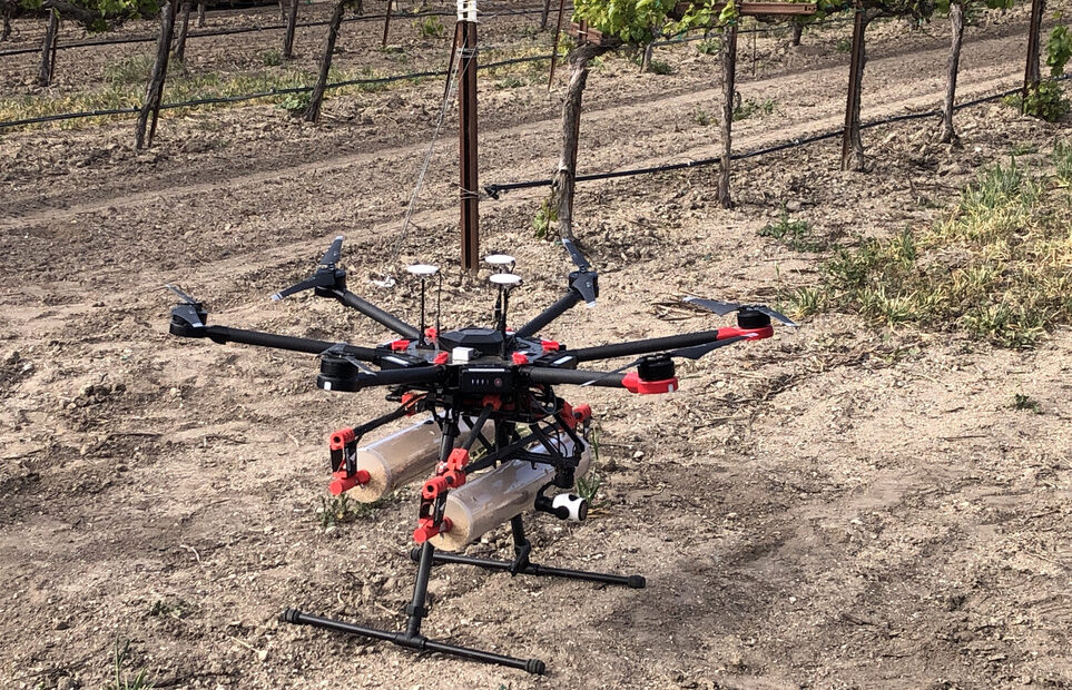 A black, red and silver drone with two silver cannisters full of bugs prepares for takeoff near a green vineyard.