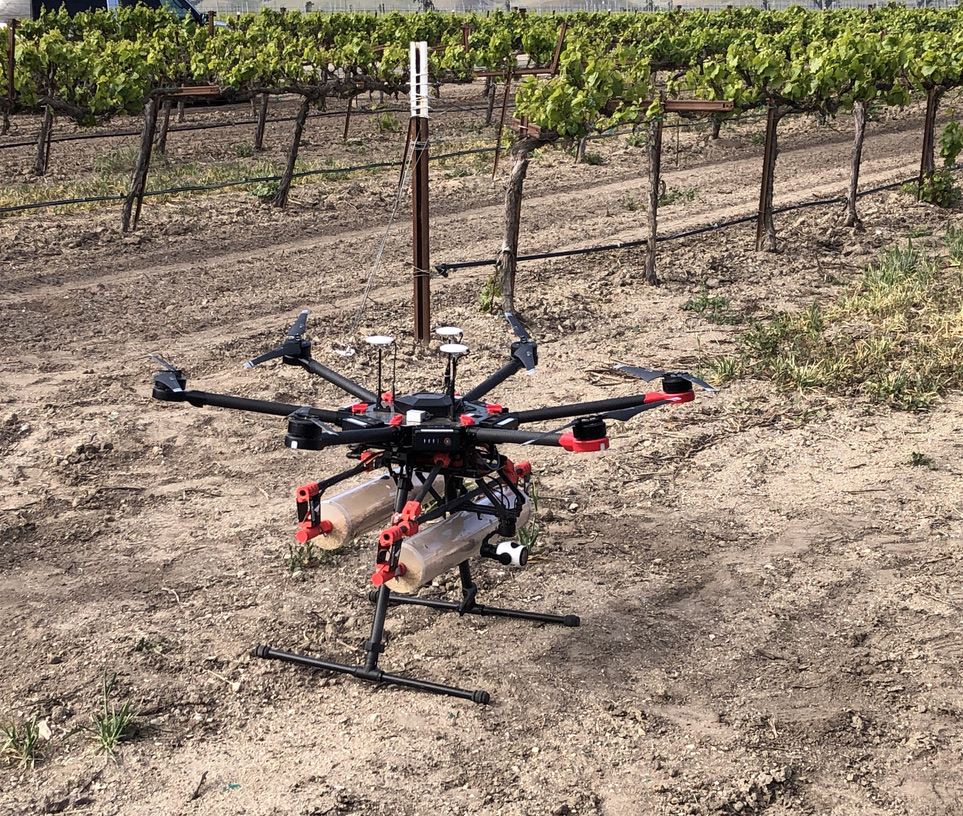 A black, red and silver drone with two silver cannisters full of bugs prepares for takeoff near a green vineyard.