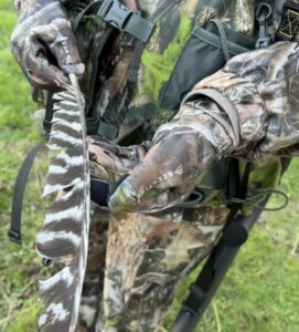 A turkey feather found in a field in northeastern Washington.