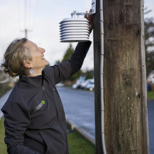 Ailene Ettinger with the Nature Conservancy installs a device to track air temperature on a utility pole in South Tacoma this January. Photo by Courtney Baxter.