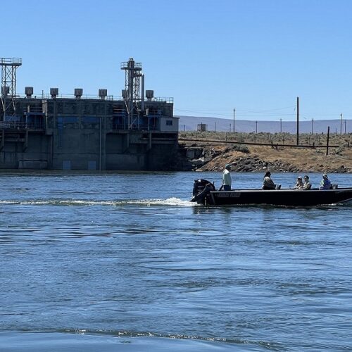 Hanford Cleanup advocay