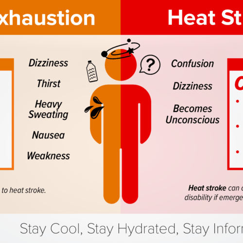 Heat Symptoms