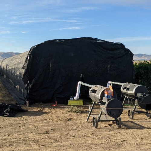 Smokers are stationed outside a vineyard draped with black cloth to expose grapes to smoke for 36 hours.