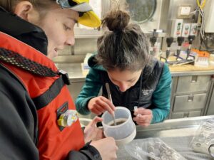 Talia Davis (left) and Rachel Kaplan pick through a filter to find krill.