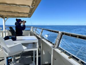 On top of the Bell M. Shimada's flybridge, scientist Dawn Barlow searches for any signs of whales.