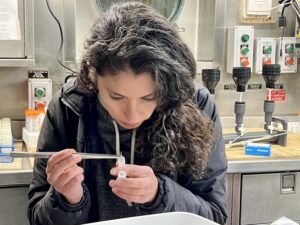 Scientist Rachel Kaplan collects krill to study later.