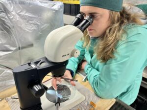 Brittany Hupp looks for planktic forams under a microscope. Scientists collected samples aboard the Bell M. Shimada from May 6-17.
