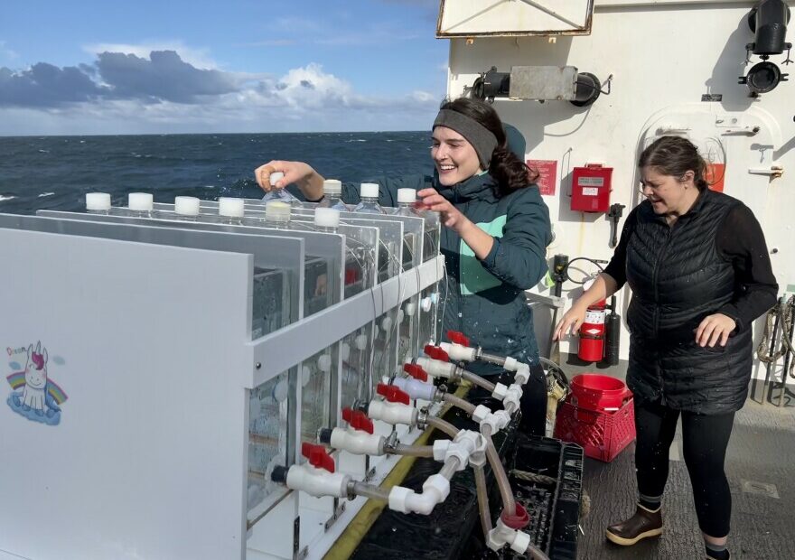 Rebecca Smoak, a graduate researcher at Oregon State University, and Maria Kavanaugh, an assistant professor at OSU, place plastic Nalgene bottles in an incubator to grow phytoplankton on the Bell M. Shimada, a National Oceanic and Atmospheric Administration research vessel.