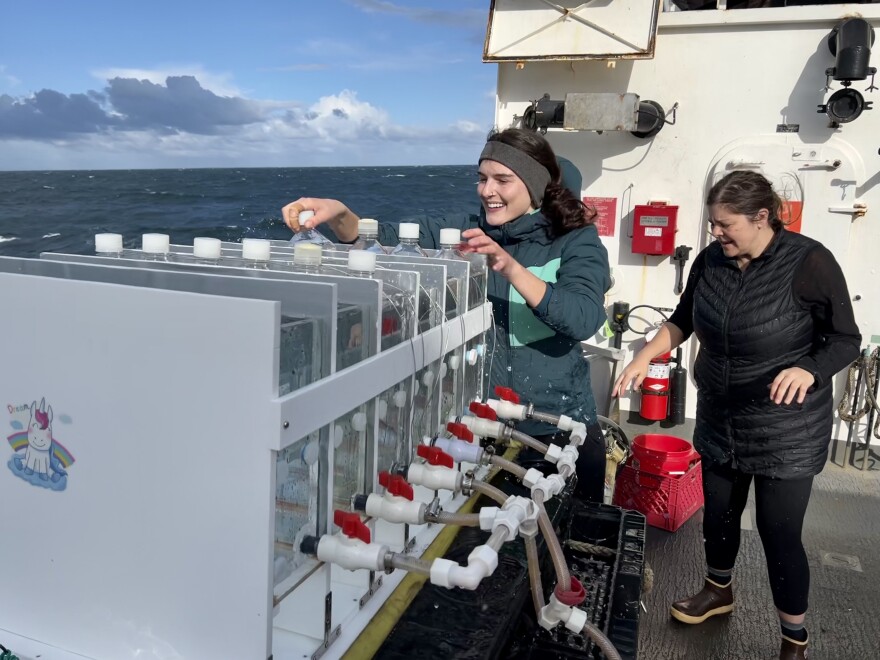 Rebecca Smoak, a graduate researcher at Oregon State University, and Maria Kavanaugh, an assistant professor at OSU, place plastic Nalgene bottles in an incubator to grow phytoplankton on the Bell M. Shimada, a National Oceanic and Atmospheric Administration research vessel.