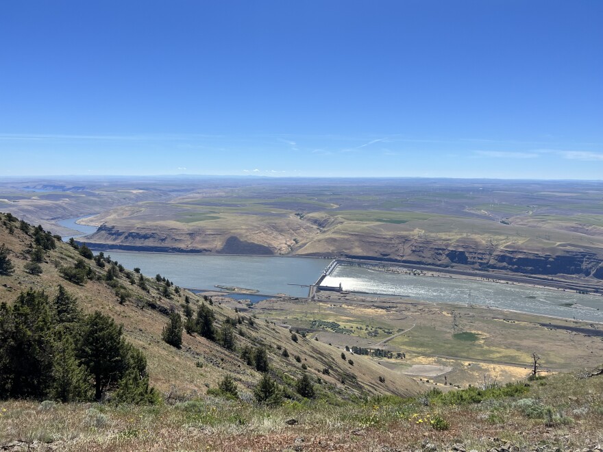 A view from the edge of the cliff where the Goldendale Energy Storage Project could be built. An underground tunnel would carry water from a upper reservoir to a reservoir down below. (Credit: Courtney Flatt / NW News Network)