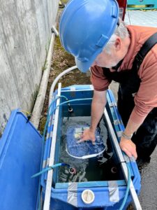 Scientist Bob Mueller checks to see if the lamprey tags work before they release the fish into the Snake River.