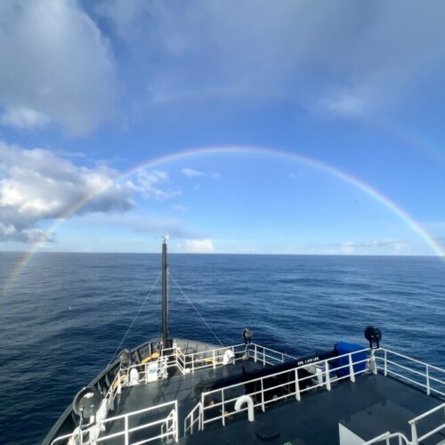 At least twice a year, scientists board the Bell M. Shimada, a National Oceanic and Atmospheric Administration research vessel, to study the Northern California Current ecosystem