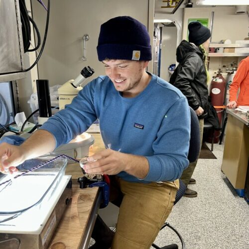 Scientist Kris Bauer gets a closer look at the Calanus marshallae copepods a bongo net pulled up off the coast of Grays Harbor, Washington